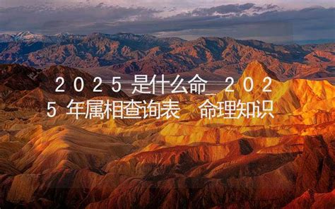 2025年属什么